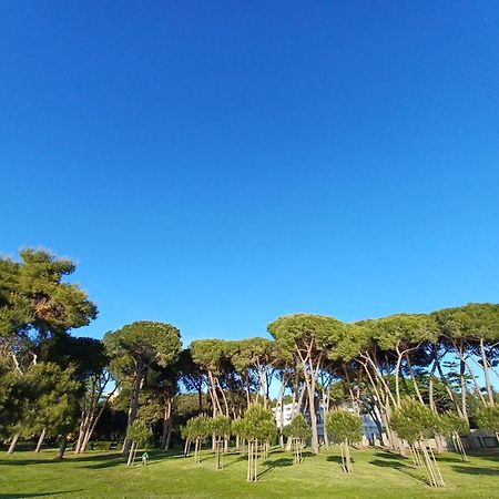 Family Apartments Zadar - Ryanair Exclusive 외부 사진