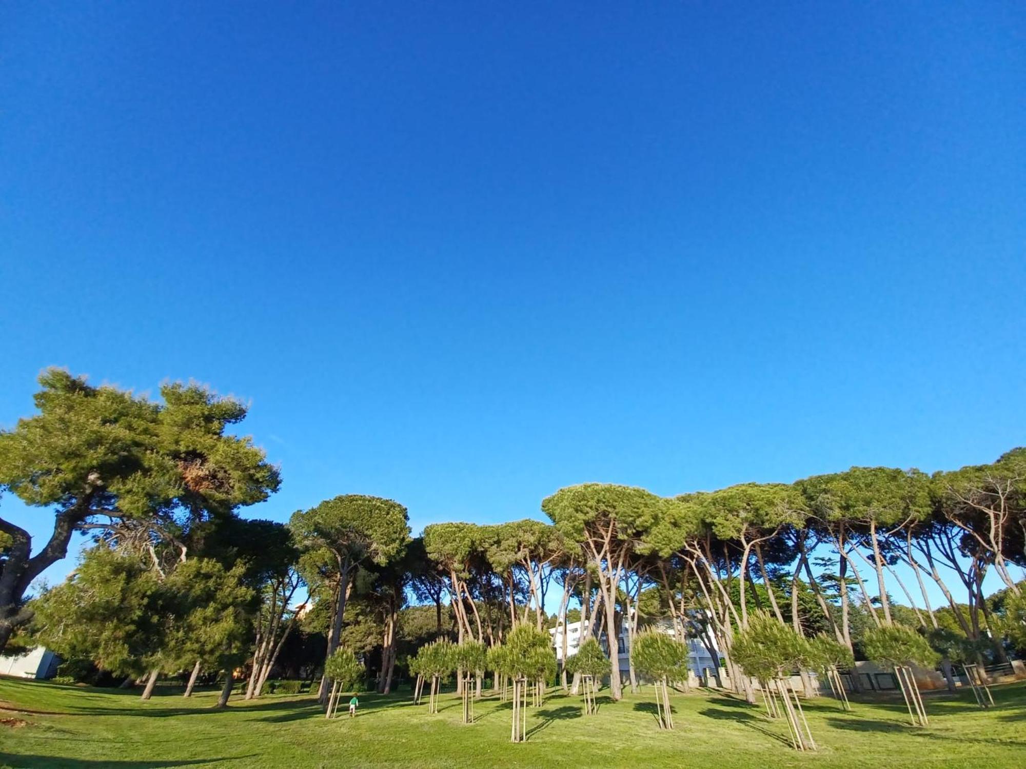 Family Apartments Zadar - Ryanair Exclusive 외부 사진